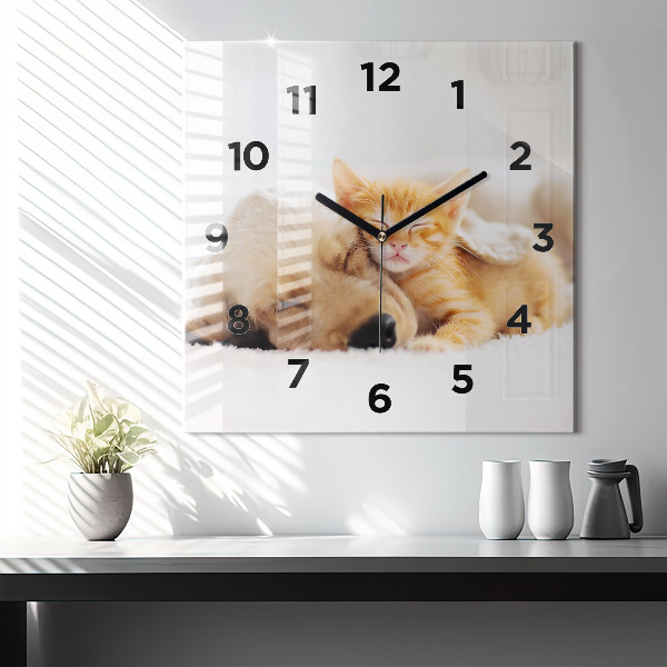 Square wall clock Sleeping cat and dog
