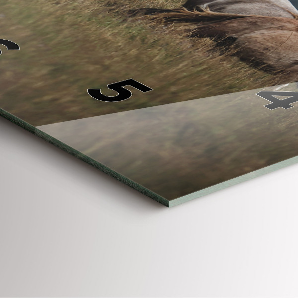 Square wall clock Horses at a gallop