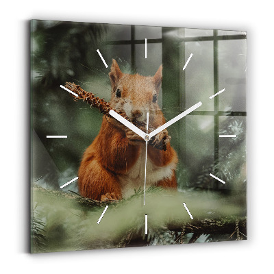 Square wall clock Squirrel and wild nature