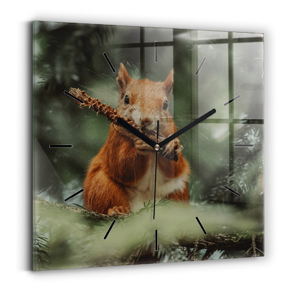 Square wall clock Squirrel and wild nature