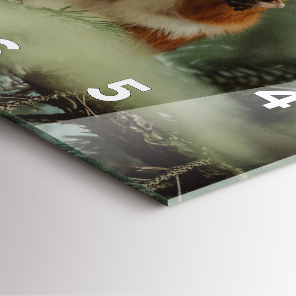 Square wall clock Squirrel and wild nature