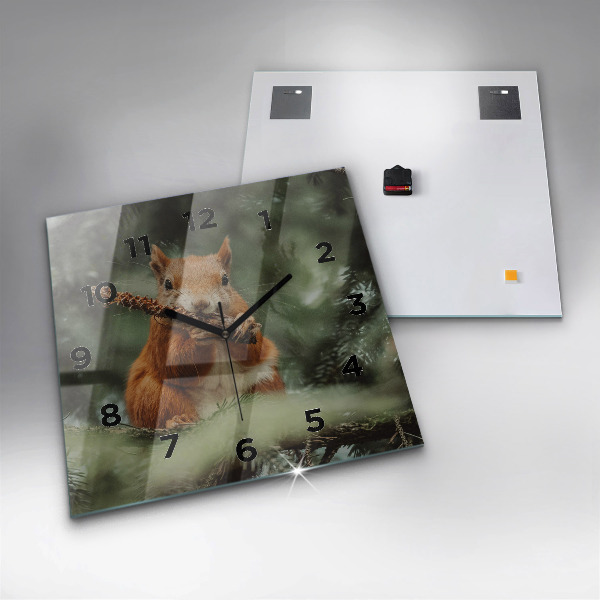 Square wall clock Squirrel and wild nature