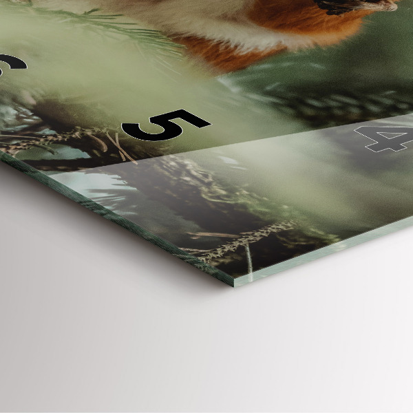Square wall clock Squirrel and wild nature