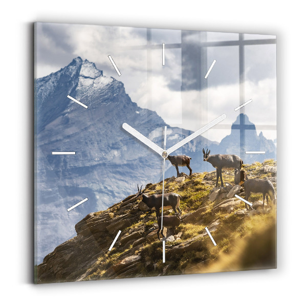 Square wall clock Goat in the Aosta Valley