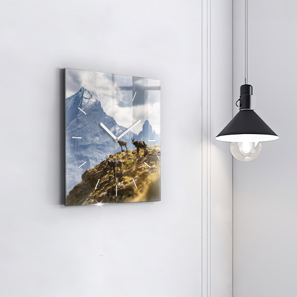 Square wall clock Goat in the Aosta Valley
