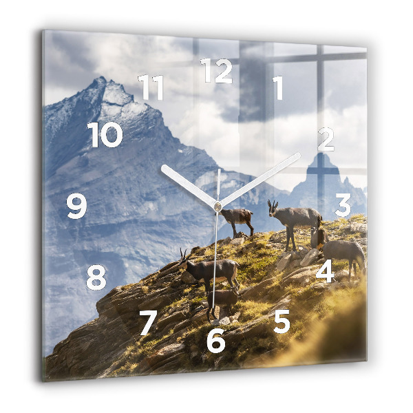Square wall clock Goat in the Aosta Valley