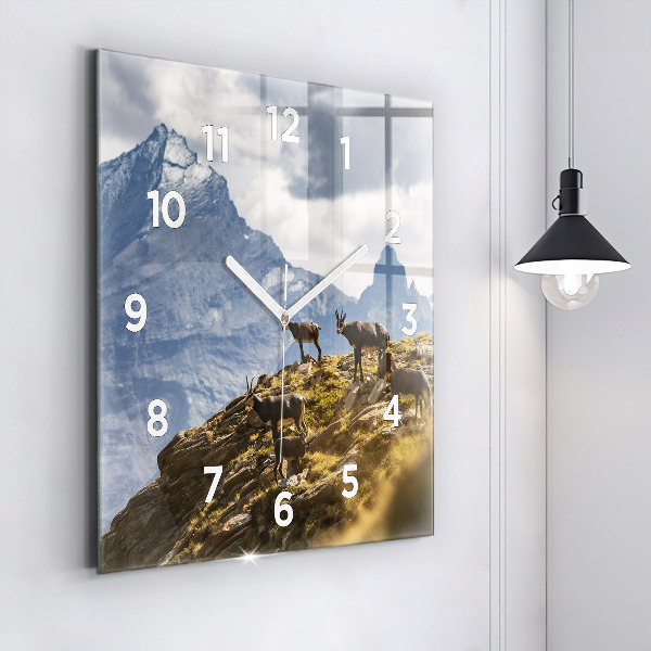 Square wall clock Goat in the Aosta Valley