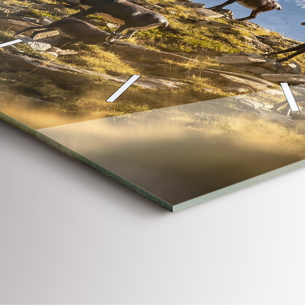 Square wall clock Goat in the Aosta Valley