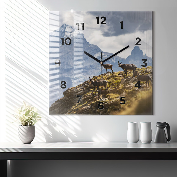 Square wall clock Goat in the Aosta Valley