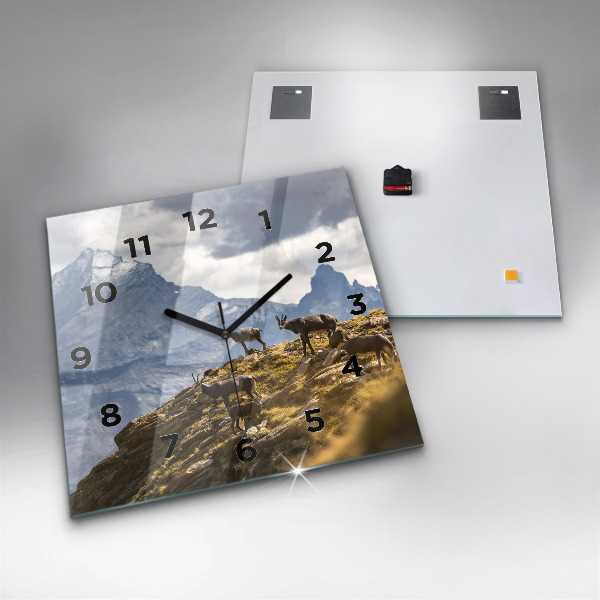 Square wall clock Goat in the Aosta Valley