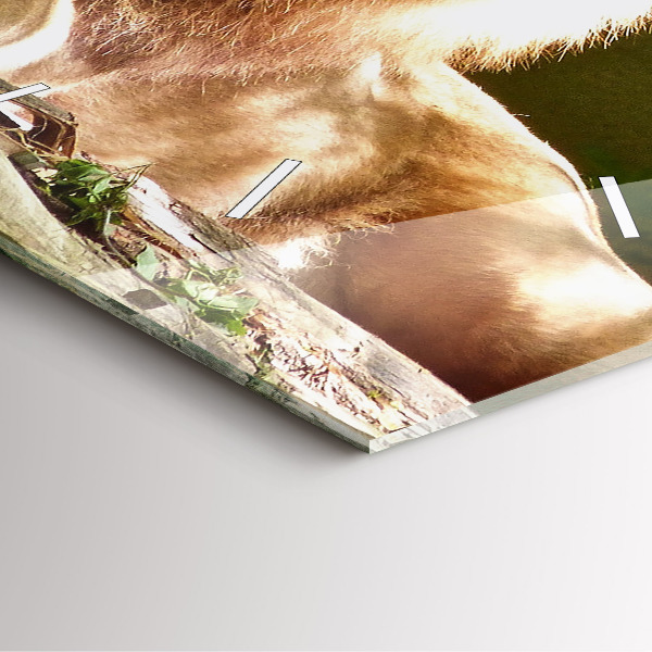 Square wall clock Portrait of a Lion