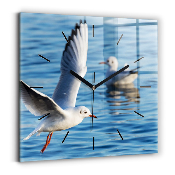 Square wall clock Seagulls in Gdynia