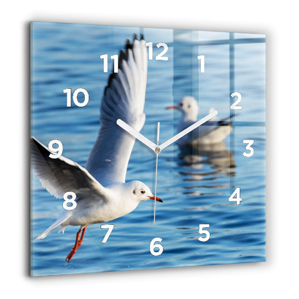 Square wall clock Seagulls in Gdynia