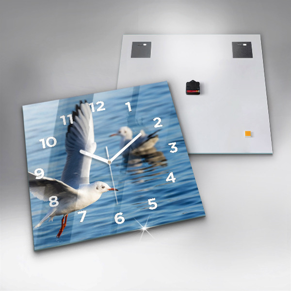 Square wall clock Seagulls in Gdynia