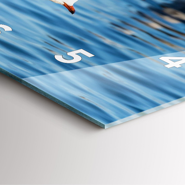 Square wall clock Seagulls in Gdynia