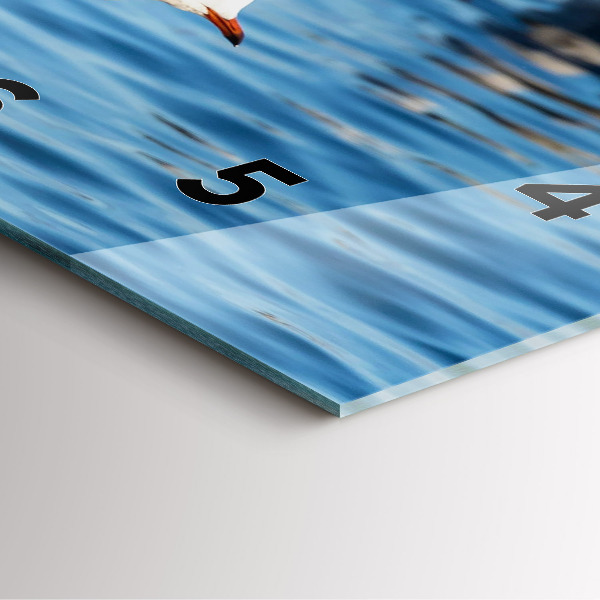 Square wall clock Seagulls in Gdynia