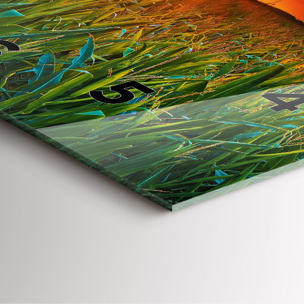 Square wall clock Sunflowers in the meadow