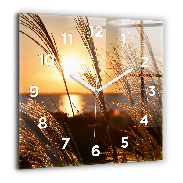 Square wall clock Wheat in the golden sun