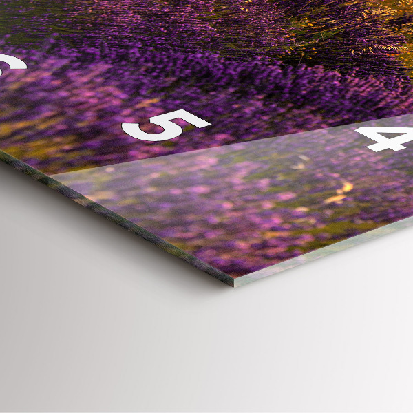 Square wall clock Lavender meadow France