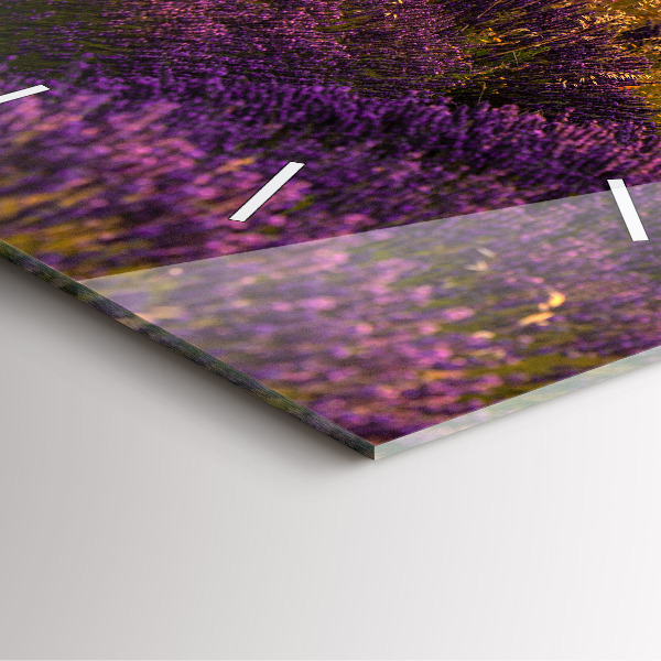 Square wall clock Lavender meadow France