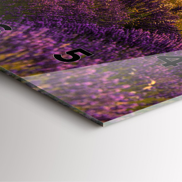 Square wall clock Lavender meadow France