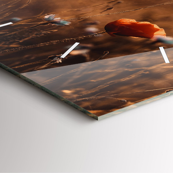 Square wall clock Field sunrise