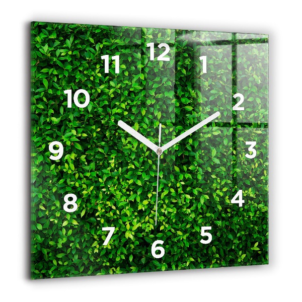 Square wall clock Hedge leaves