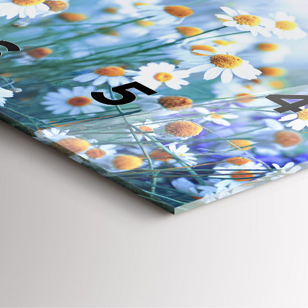 Square wall clock Butterfly in the meadow