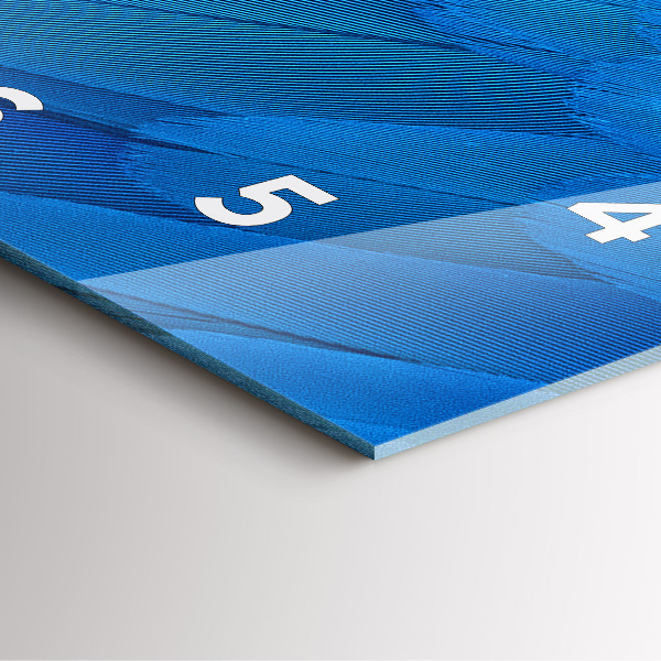 Square wall clock Bird feather