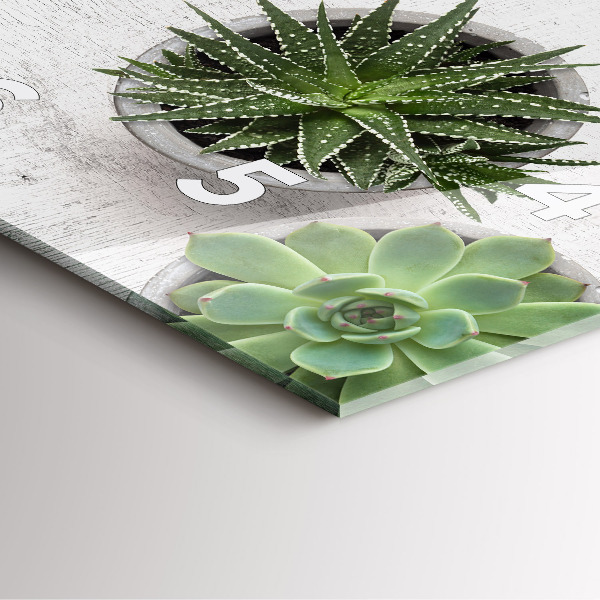 Square wall clock Ornamental plants