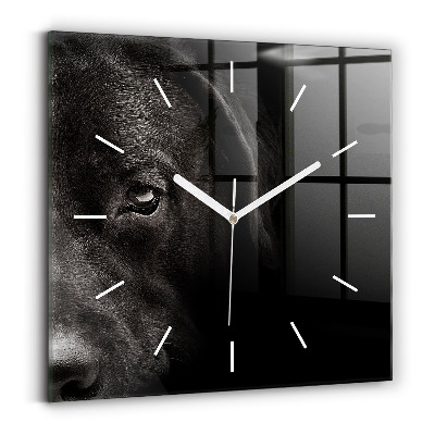 Square wall clock Scottish Fold Dog and Cat