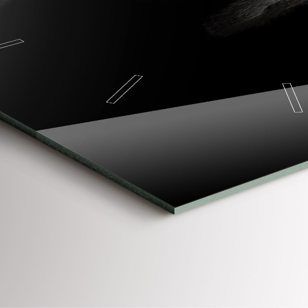 Square wall clock Scottish Fold Dog and Cat