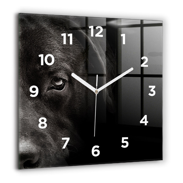 Square wall clock Scottish Fold Dog and Cat