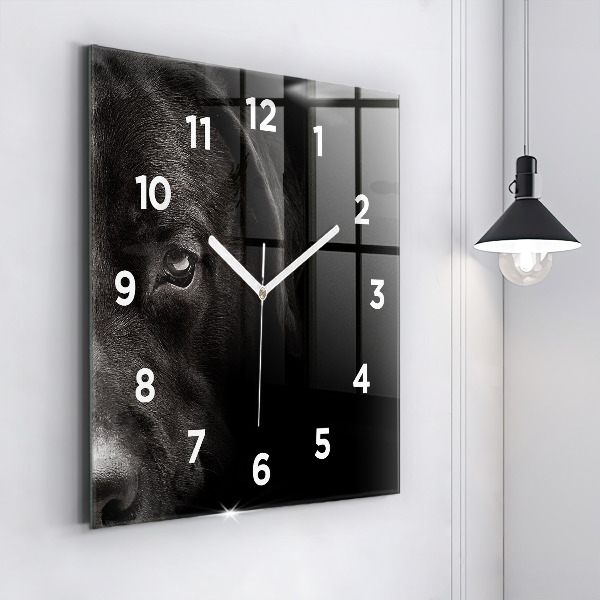 Square wall clock Scottish Fold Dog and Cat