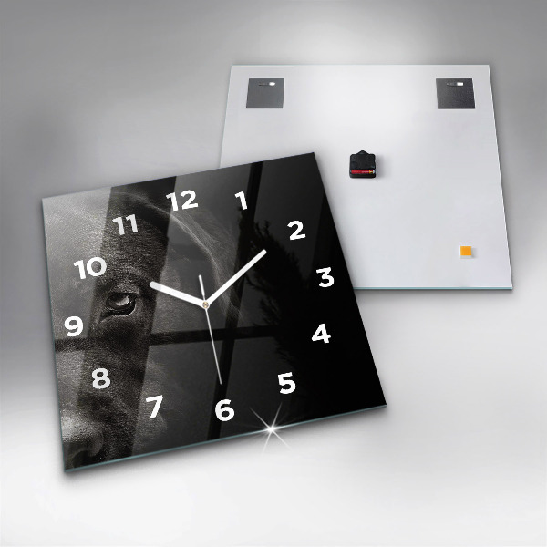 Square wall clock Scottish Fold Dog and Cat