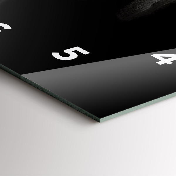 Square wall clock Scottish Fold Dog and Cat