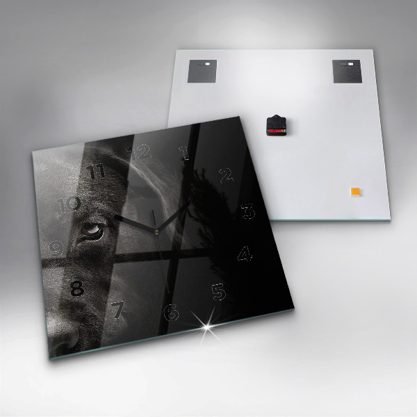 Square wall clock Scottish Fold Dog and Cat