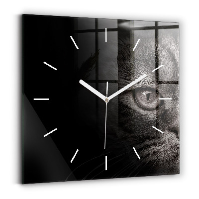 Square wall clock Scottish Fold Dog and Cat