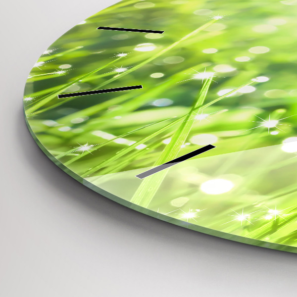 Round glass wall clock Green grass