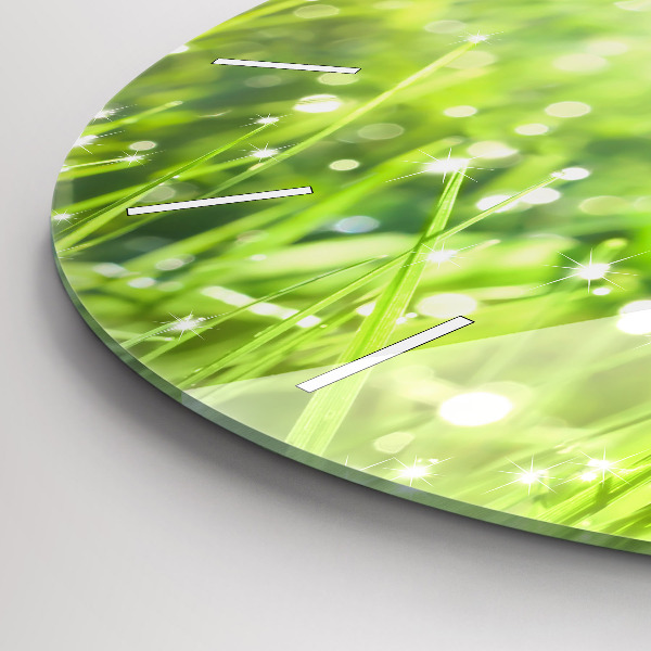 Round glass wall clock Green grass