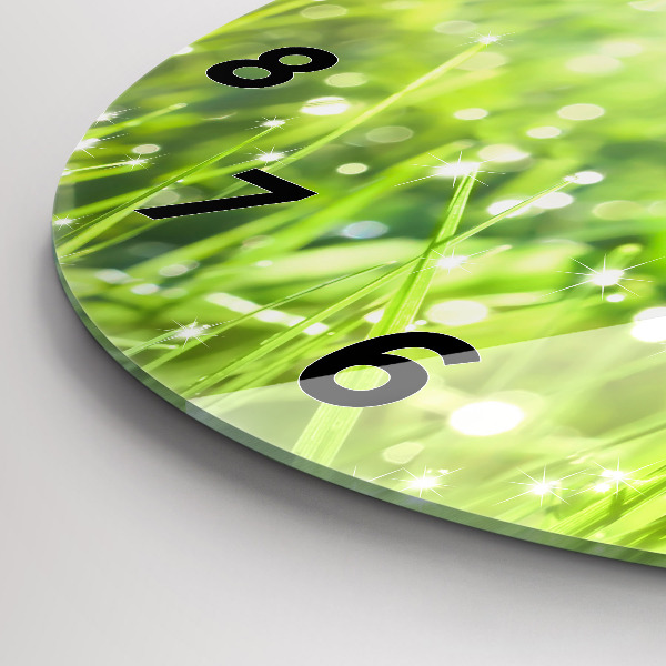 Round glass wall clock Green grass