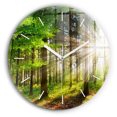 Round glass wall clock Forest sunrise