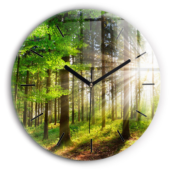 Round glass wall clock Forest sunrise