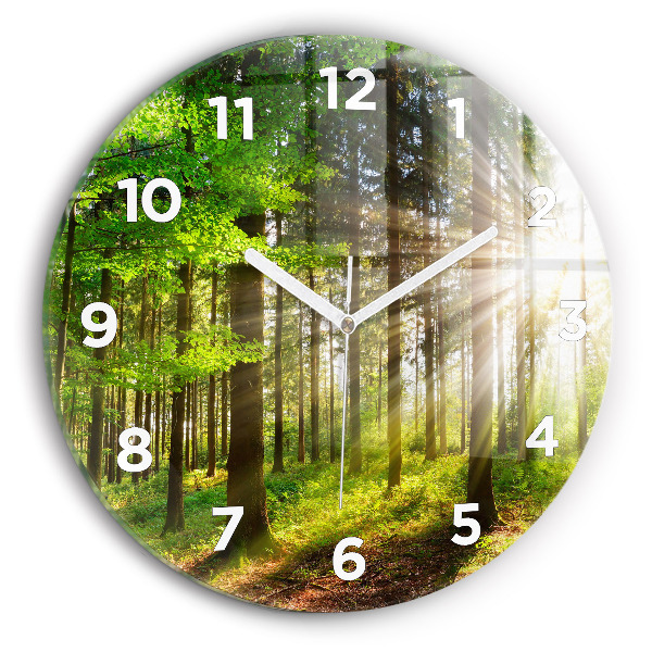 Round glass wall clock Forest sunrise