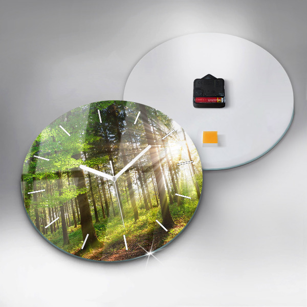 Round glass wall clock Forest sunrise