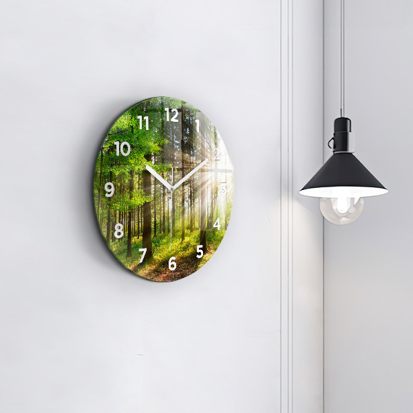 Round glass wall clock Forest sunrise
