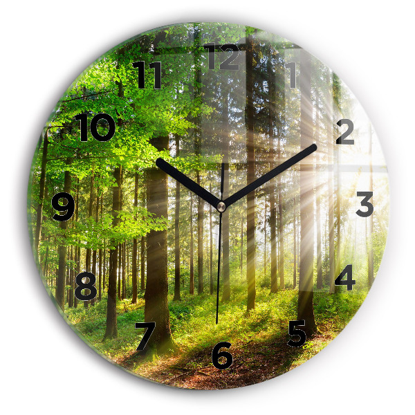 Round glass wall clock Forest sunrise