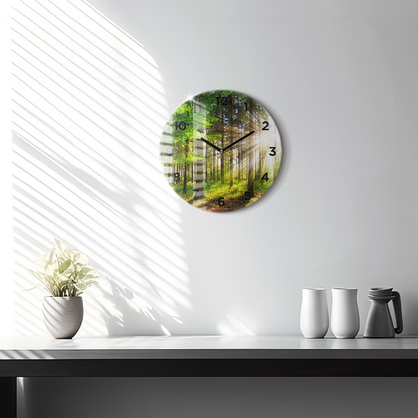 Round glass wall clock Forest sunrise