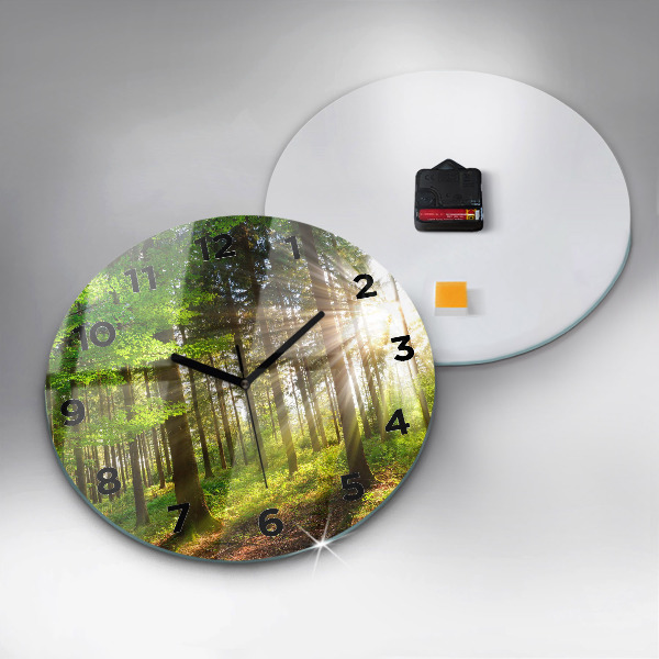 Round glass wall clock Forest sunrise