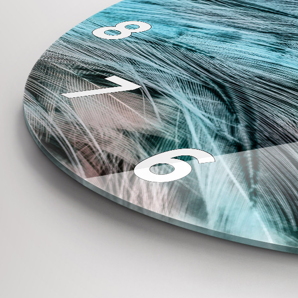 Round glass wall clock Colorful feathers